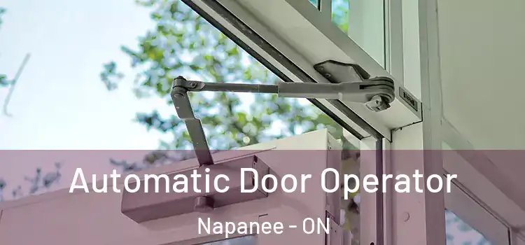 Automatic Door Operator Napanee - ON