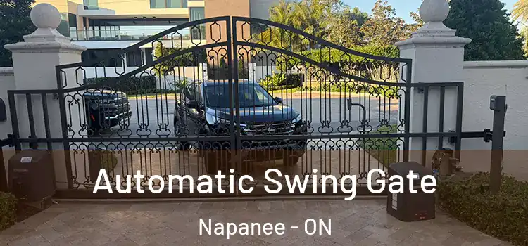 Automatic Swing Gate Napanee - ON