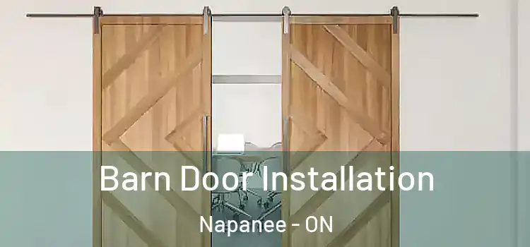 Barn Door Installation Napanee - ON