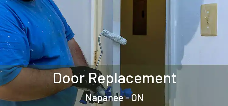 Door Replacement Napanee - ON