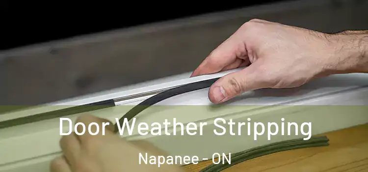 Door Weather Stripping Napanee - ON