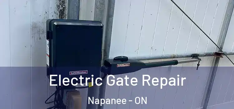 Electric Gate Repair Napanee - ON