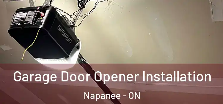  Garage Door Opener Installation Napanee - ON