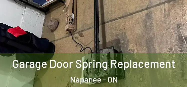  Garage Door Spring Replacement Napanee - ON