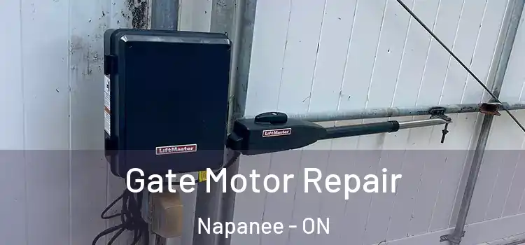 Gate Motor Repair Napanee - ON