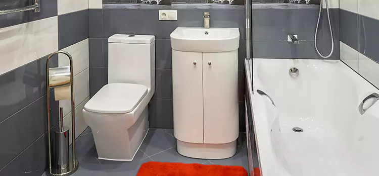 Hansgrohe Shaving Mirror Napanee