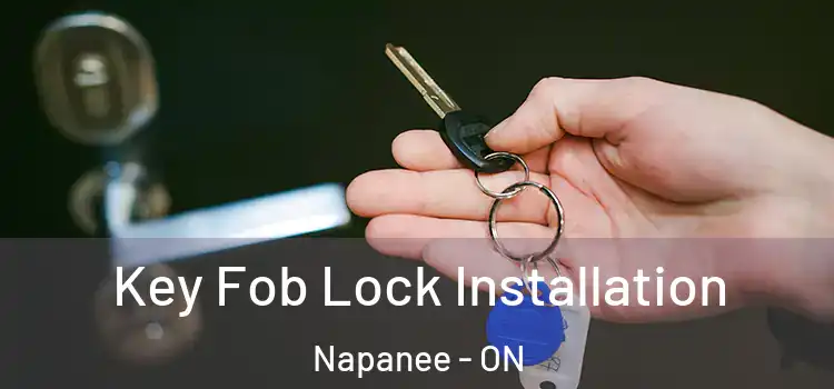  Key Fob Lock Installation Napanee - ON