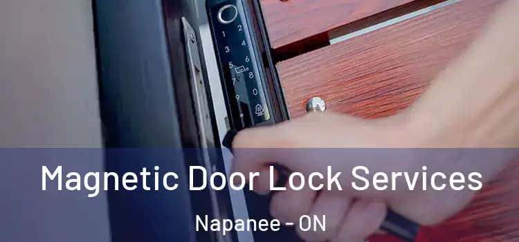 Magnetic Door Lock Services Napanee - ON