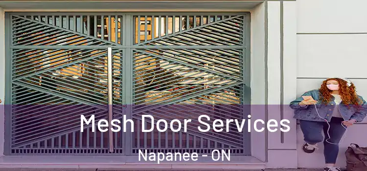 Mesh Door Services Napanee - ON