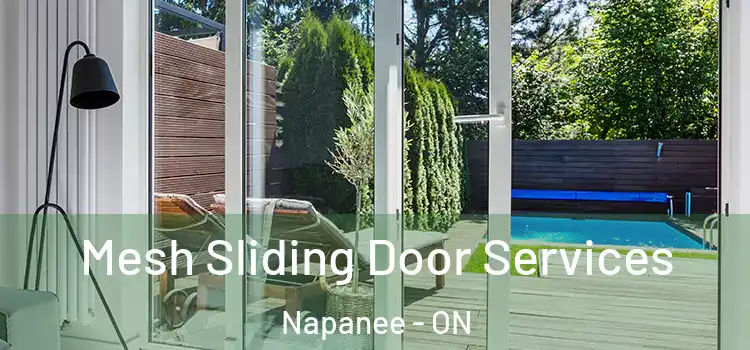 Mesh Sliding Door Services Napanee - ON