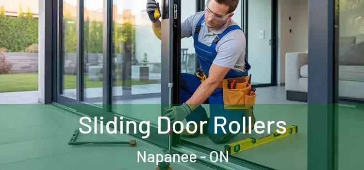 Sliding Door Rollers Napanee - ON