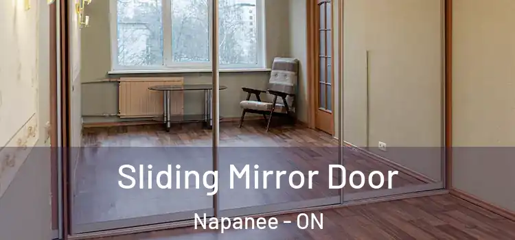 Sliding Mirror Door Napanee - ON