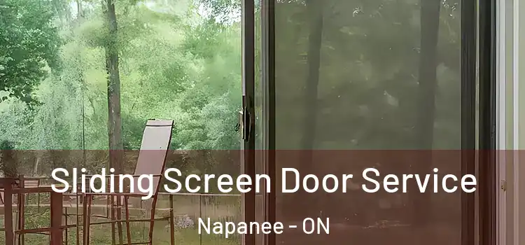 Sliding Screen Door Service Napanee - ON