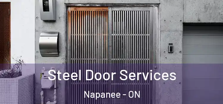  Steel Door Services Napanee - ON