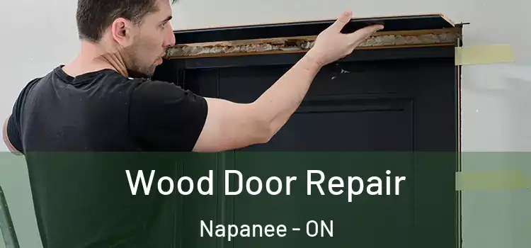 Wood Door Repair Napanee - ON